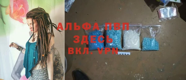 стаф Корсаков
