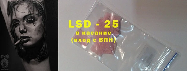 стаф Корсаков