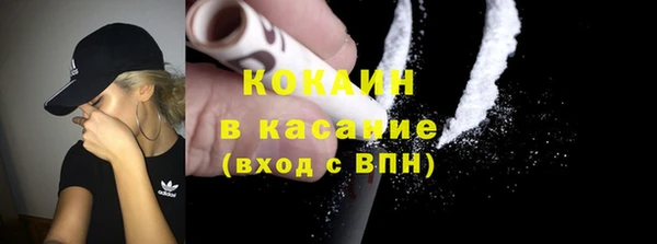 стаф Корсаков