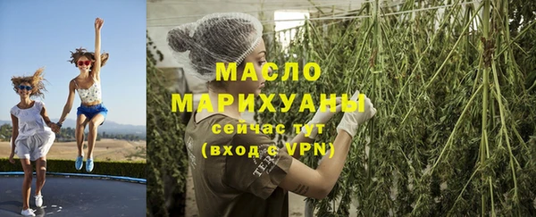 стаф Корсаков