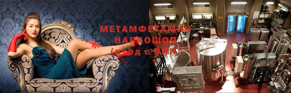 стаф Корсаков